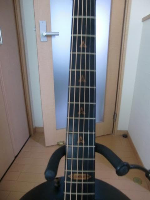 ミ*ー様 アコギ オベーション Ovation Adamas Century N