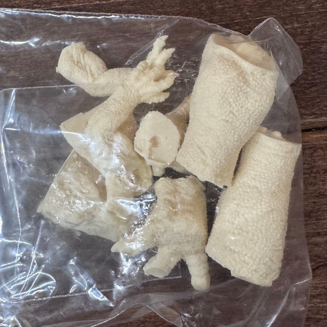 SHINZEN造形研究所 ゴジラザウルス 特典付 ガレージキット【内袋未開封】