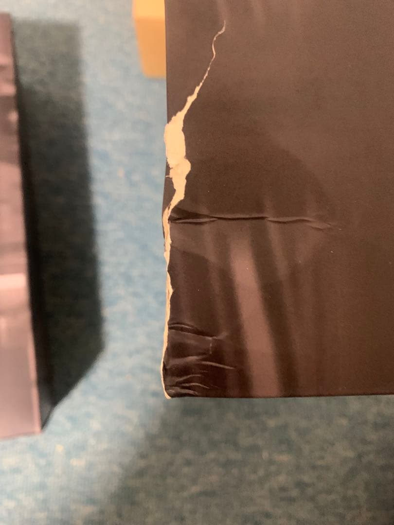 カ*オ様 HK POLICE1/6