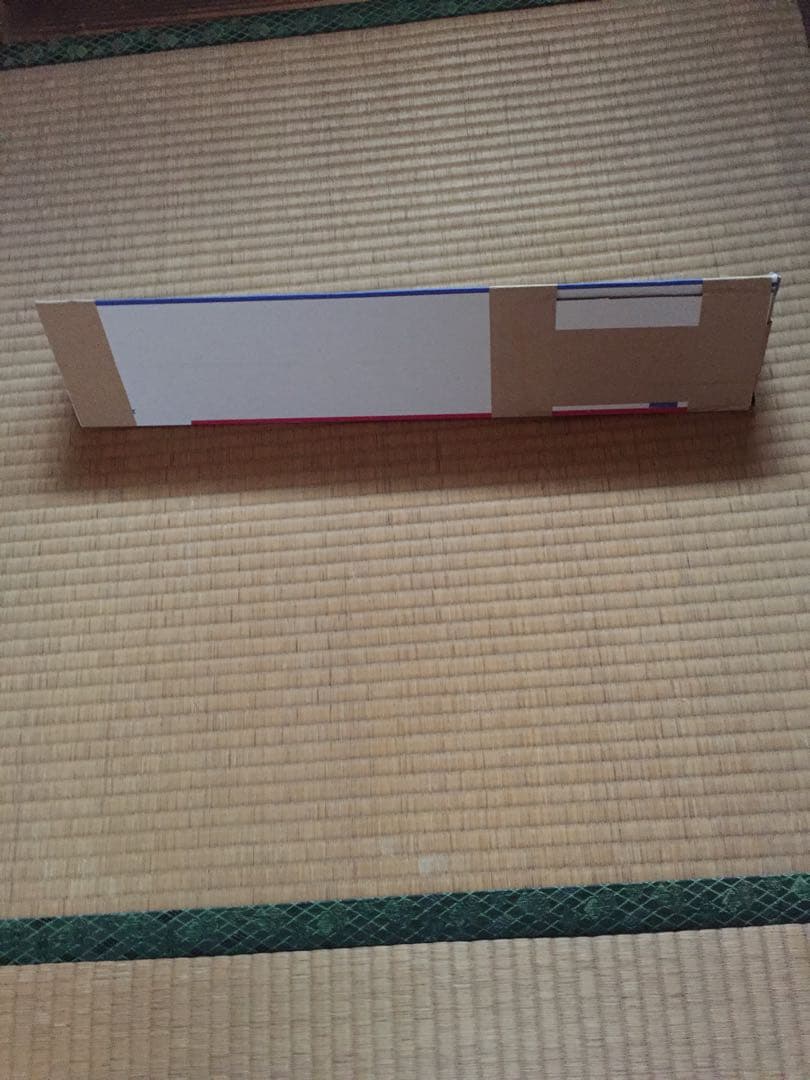 篠崎愛 等身大ポスター 花柄ビキニで挑発