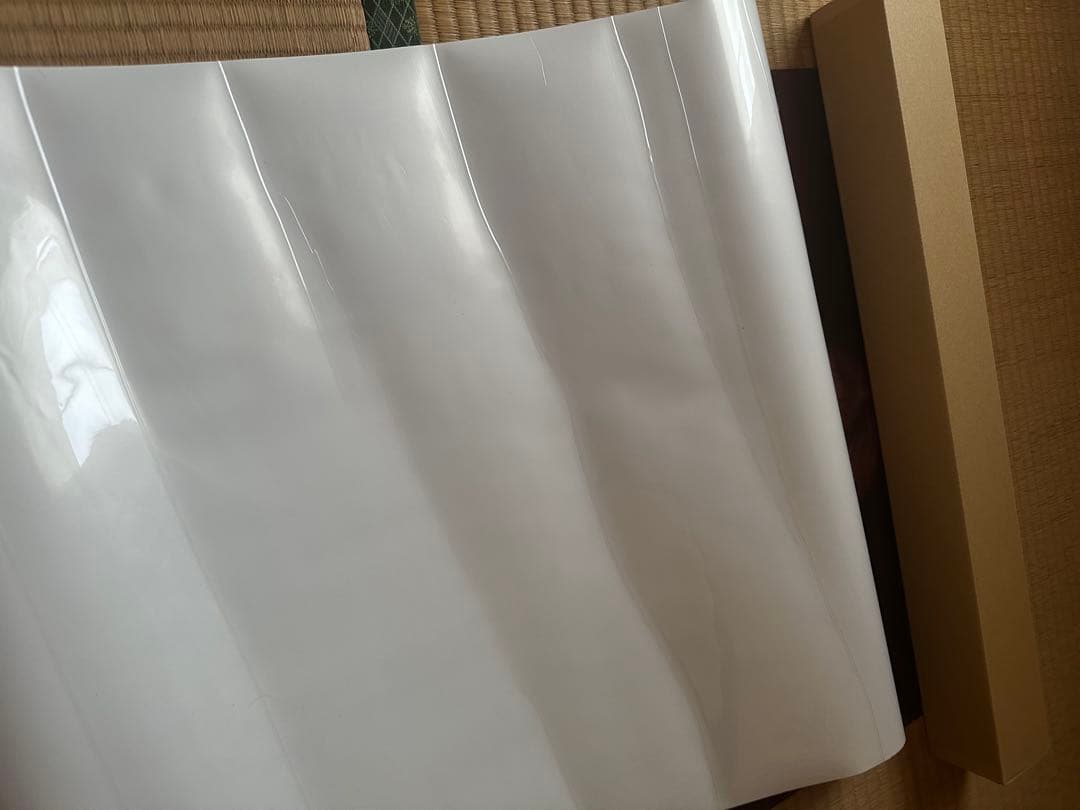 篠崎愛 等身大ポスター 花柄ビキニで挑発