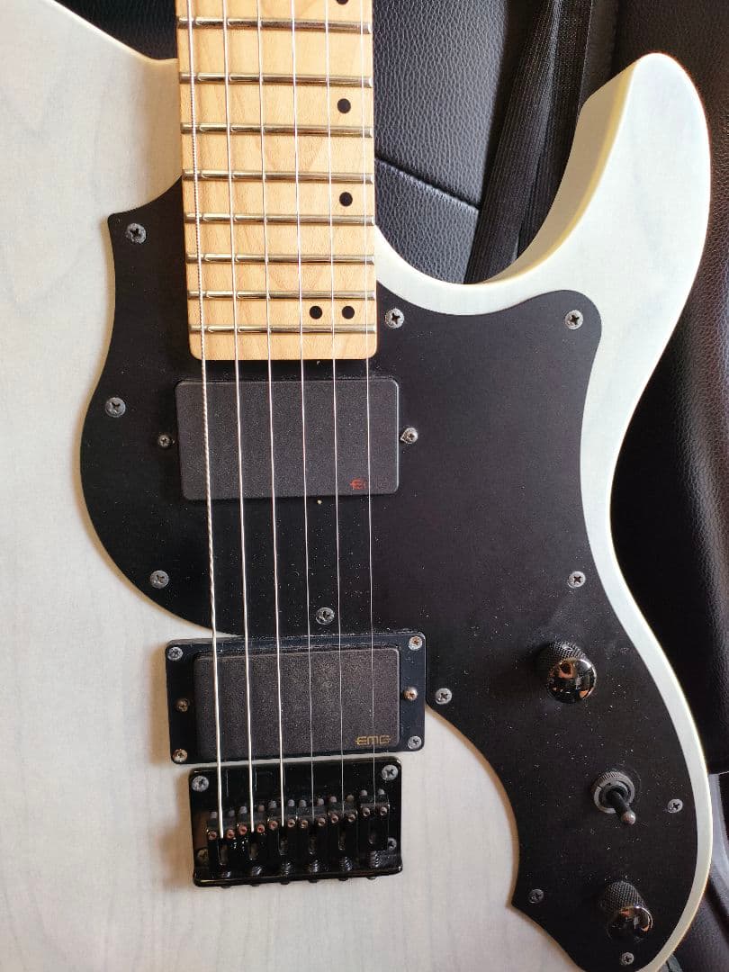 ギター FUJIGEN(FGN) J-Standard JIL2-ASH-DE-M