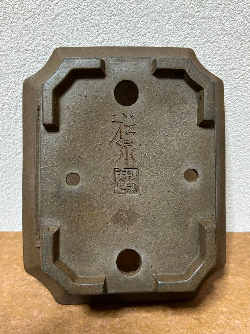 小松泉　秋静庵　小品盆栽　山野草