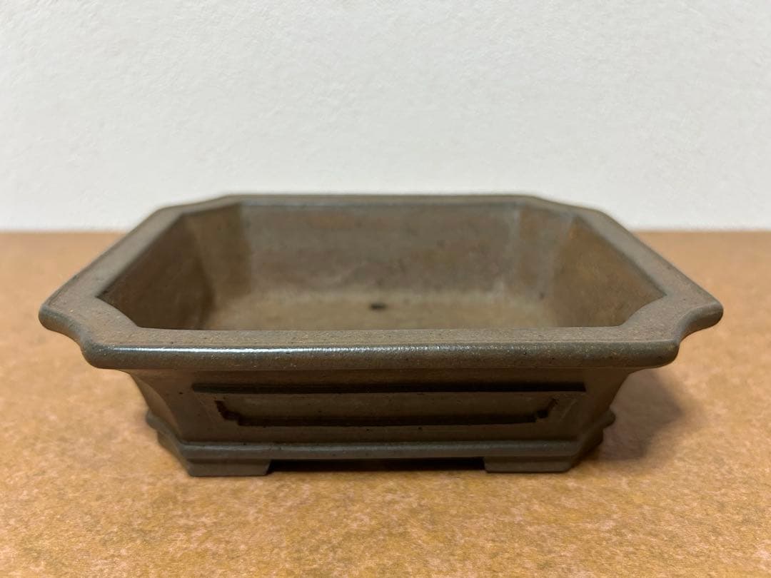 小松泉　秋静庵　小品盆栽　山野草