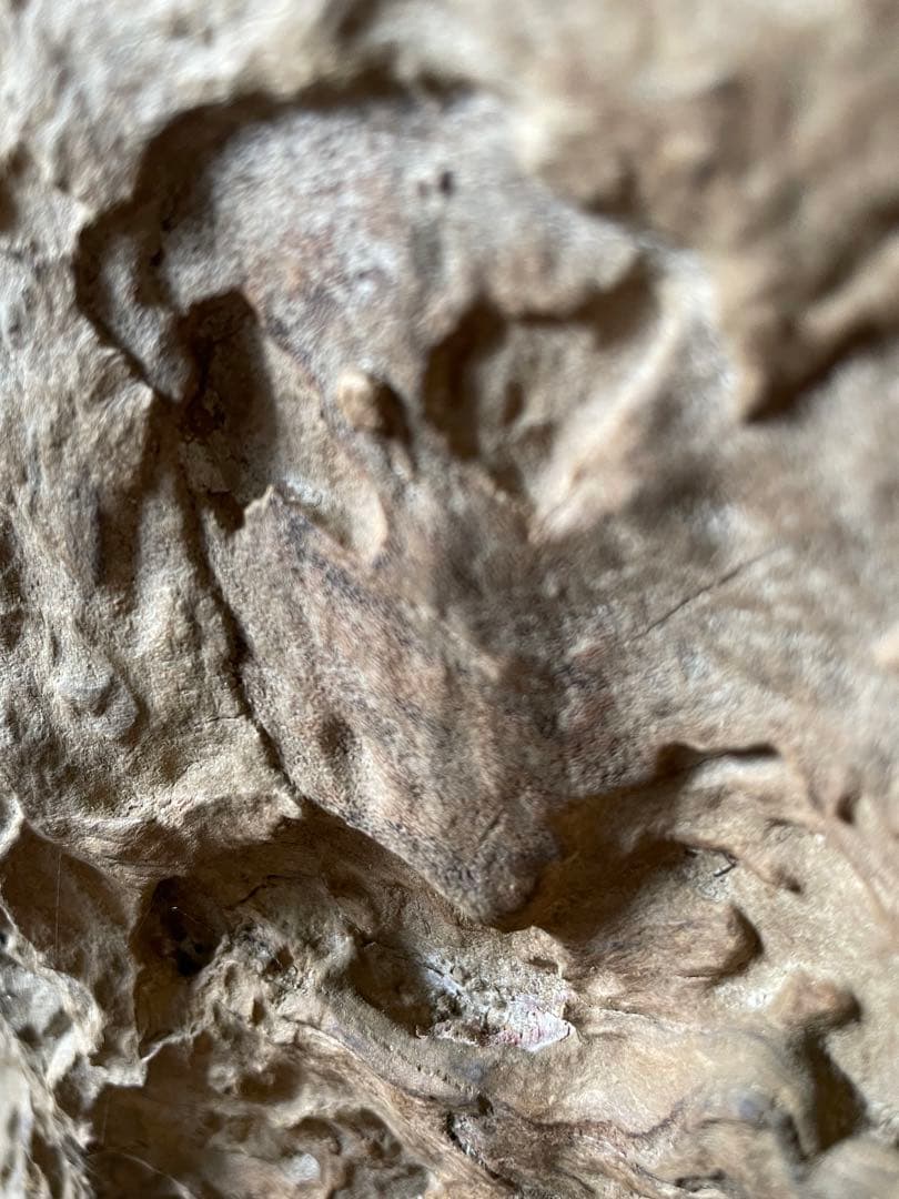 特価！！屋久杉　アンティーク　骨董品　希少柄