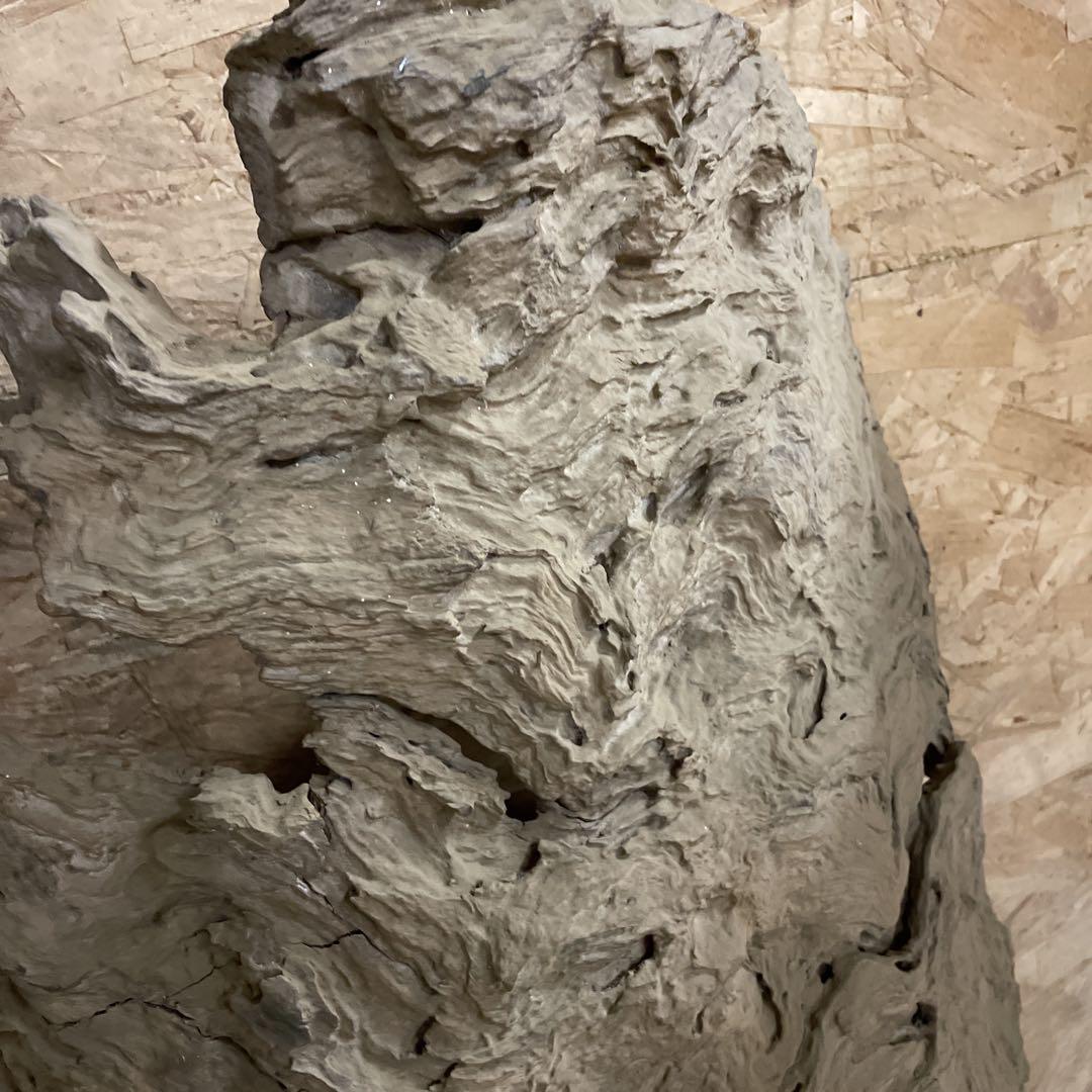 特価！！屋久杉　アンティーク　骨董品　希少柄