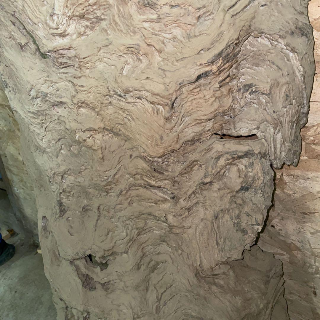 特価！！屋久杉　アンティーク　骨董品　希少柄