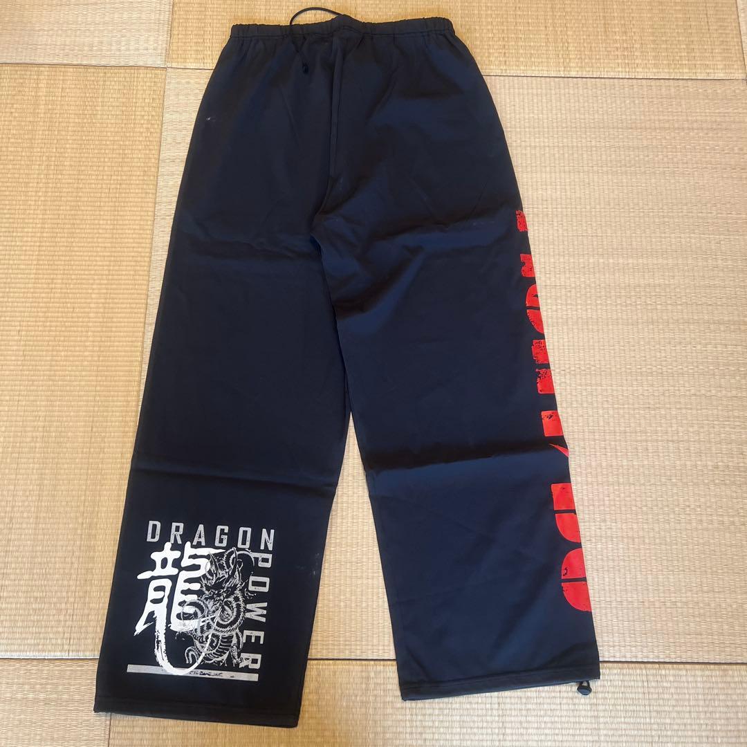 ラディカルフィットネスウェア　ファイドウロングパンツ　Mサイズ