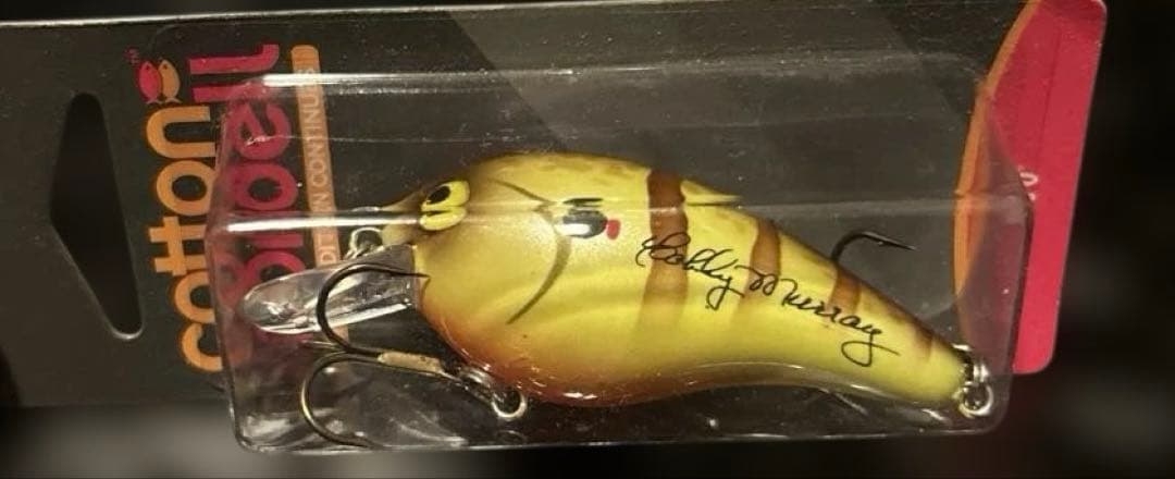 コットンコーデル