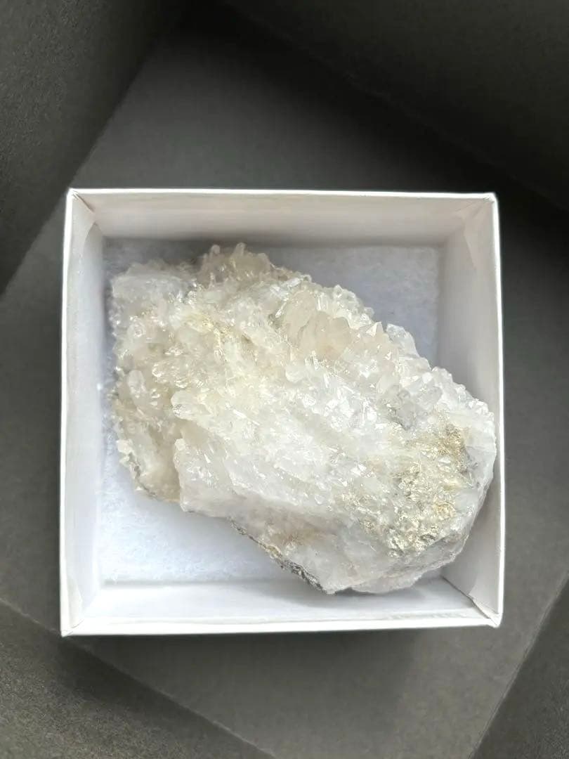 MGM【オールドストック・証明書あり】　メロディグリーンマイン