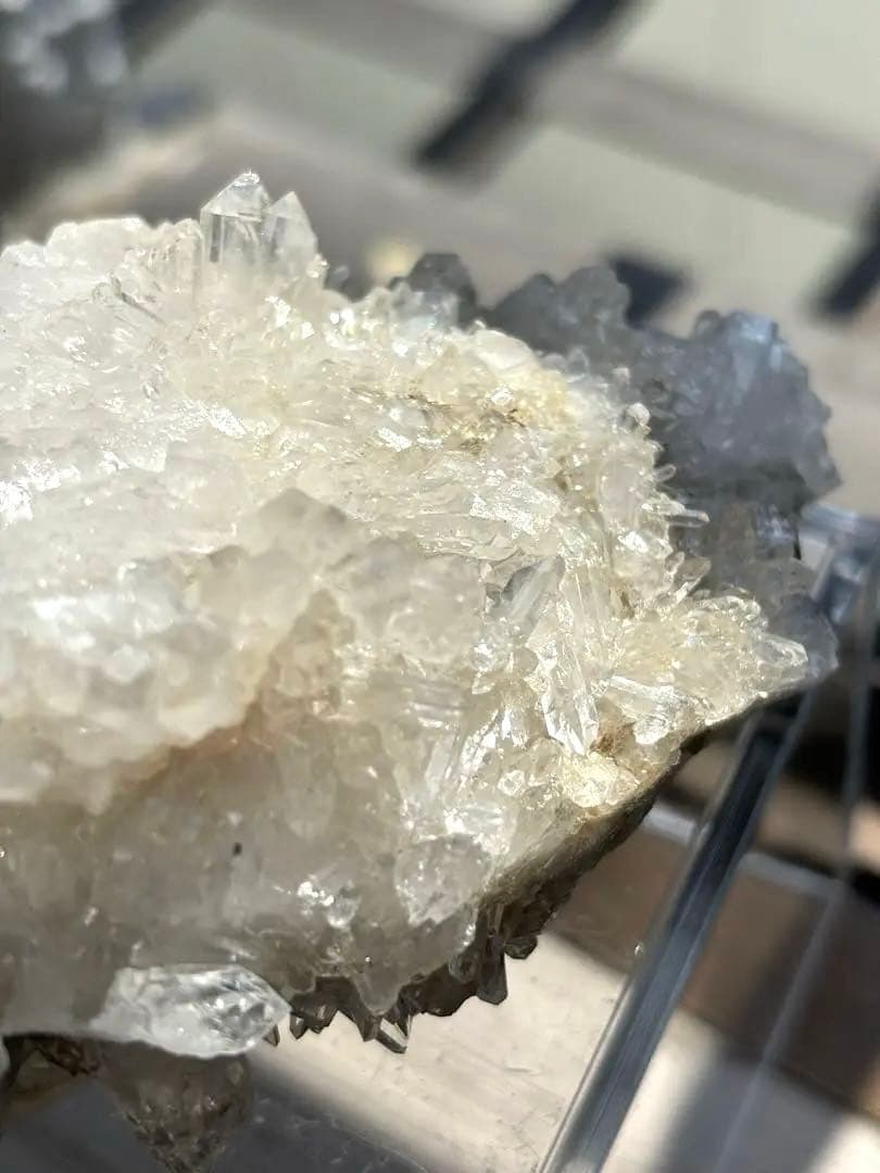 MGM【オールドストック・証明書あり】　メロディグリーンマイン