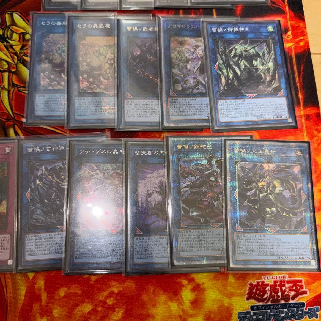 遊戯王引退品 構築済み蕾禍蟲惑魔デッキ スリーブ付き エクストラ付き