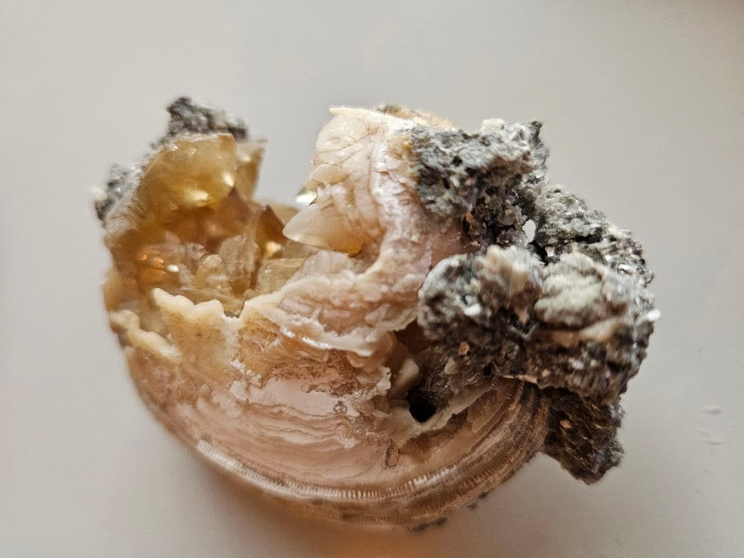 天然石 オブジェ 化石 クラスター原石 希少 ミネラルマルシェ 巨大 鉱物 標本