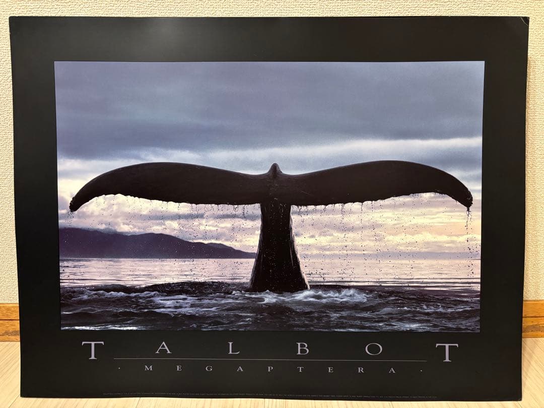 Bob Talbot 80s vintage poster 12種セット