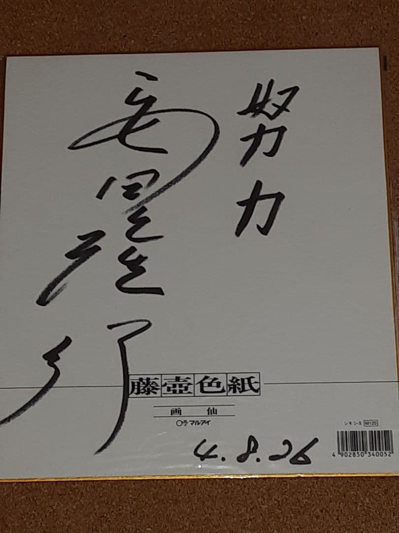 トウカイテイオー 主戦騎手 安田隆行 直筆 サイン 色紙