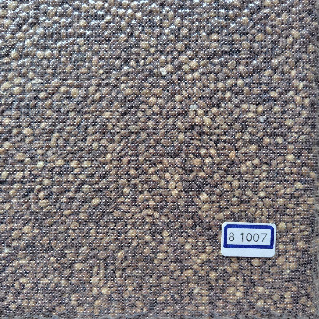 ぶーちゃん もち麦10kg 紫もち麦 ダイシモチ 食べやすく精麦済