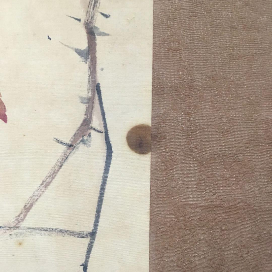 1074 左舟 薔薇 掛軸