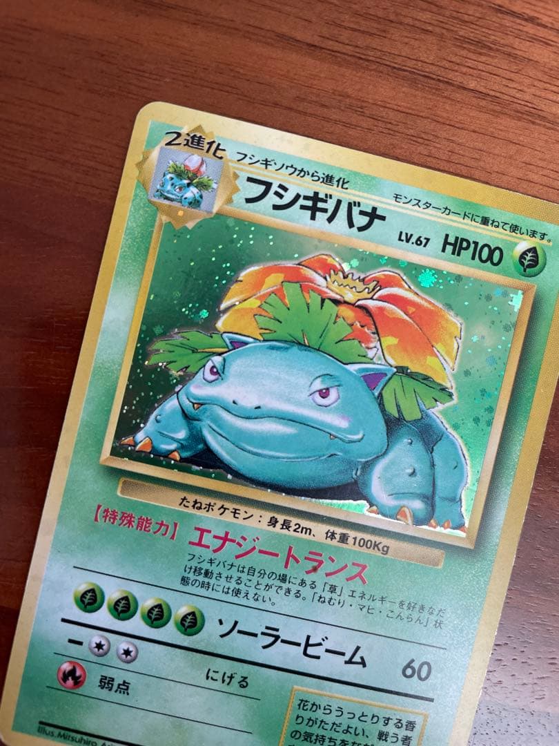 【旧裏・御三家】フシギダネ／フシギソウ／フシギバナ★キラ 初期進化ラインセット