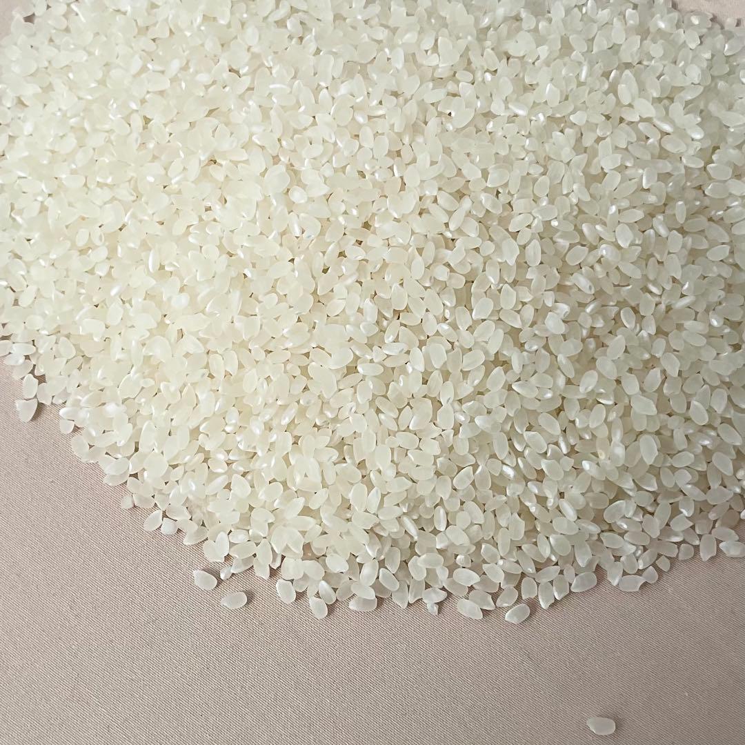 コシヒカリ精米１０キロ(南魚沼産)