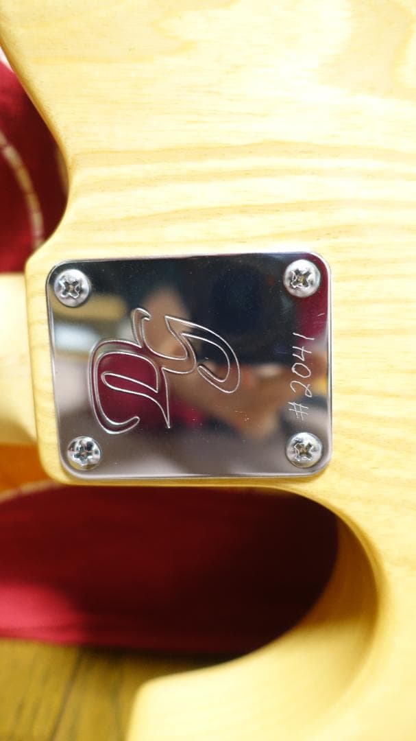 Don Grosh Retro Classic Hollow T テレキャス