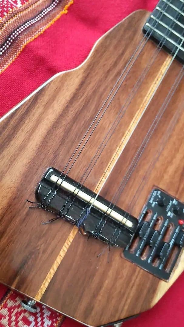 エレキチャランゴ