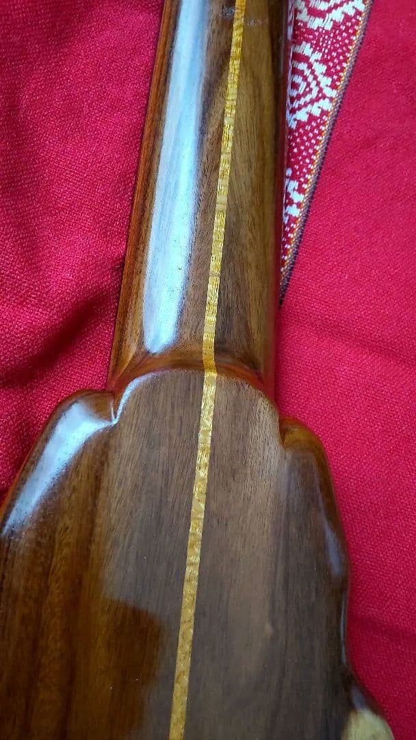 エレキチャランゴ