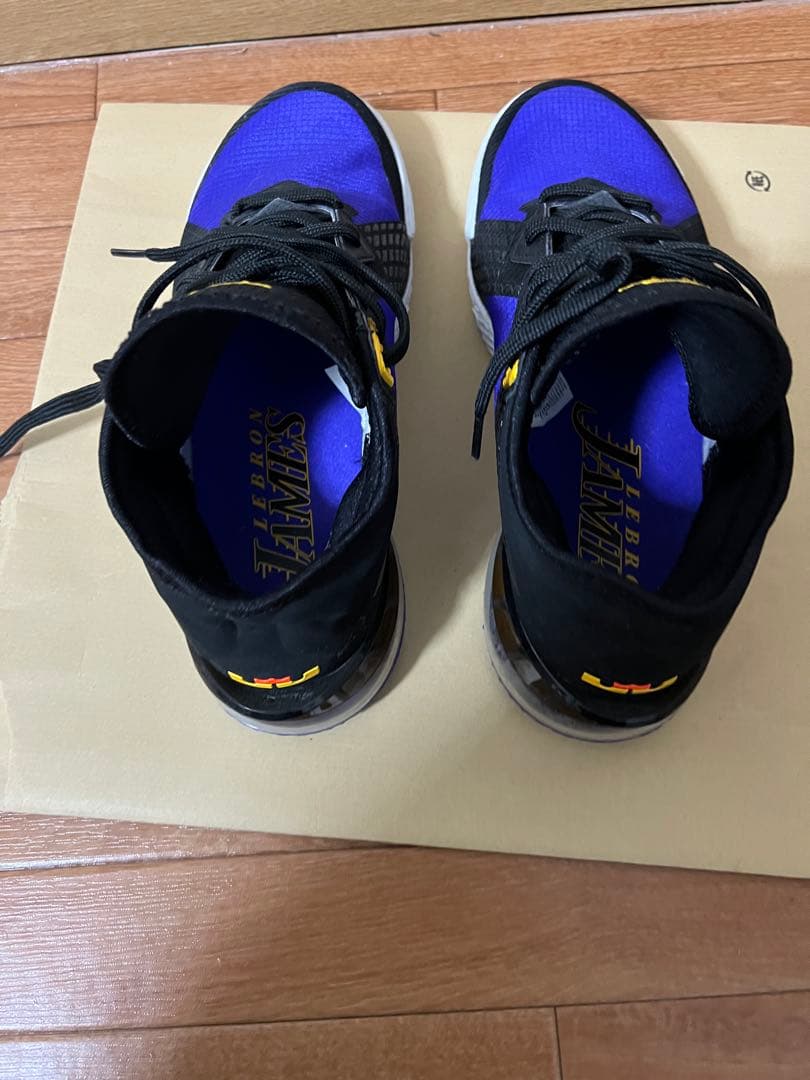 Nike バスケットボールシューズ　ブラック/パープル