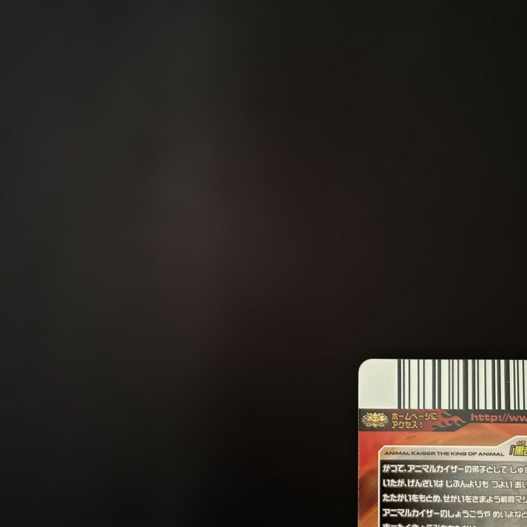 アニマルカイザー・ゴルザード 究極レア・ストロングカード・ミラクルカード　セット