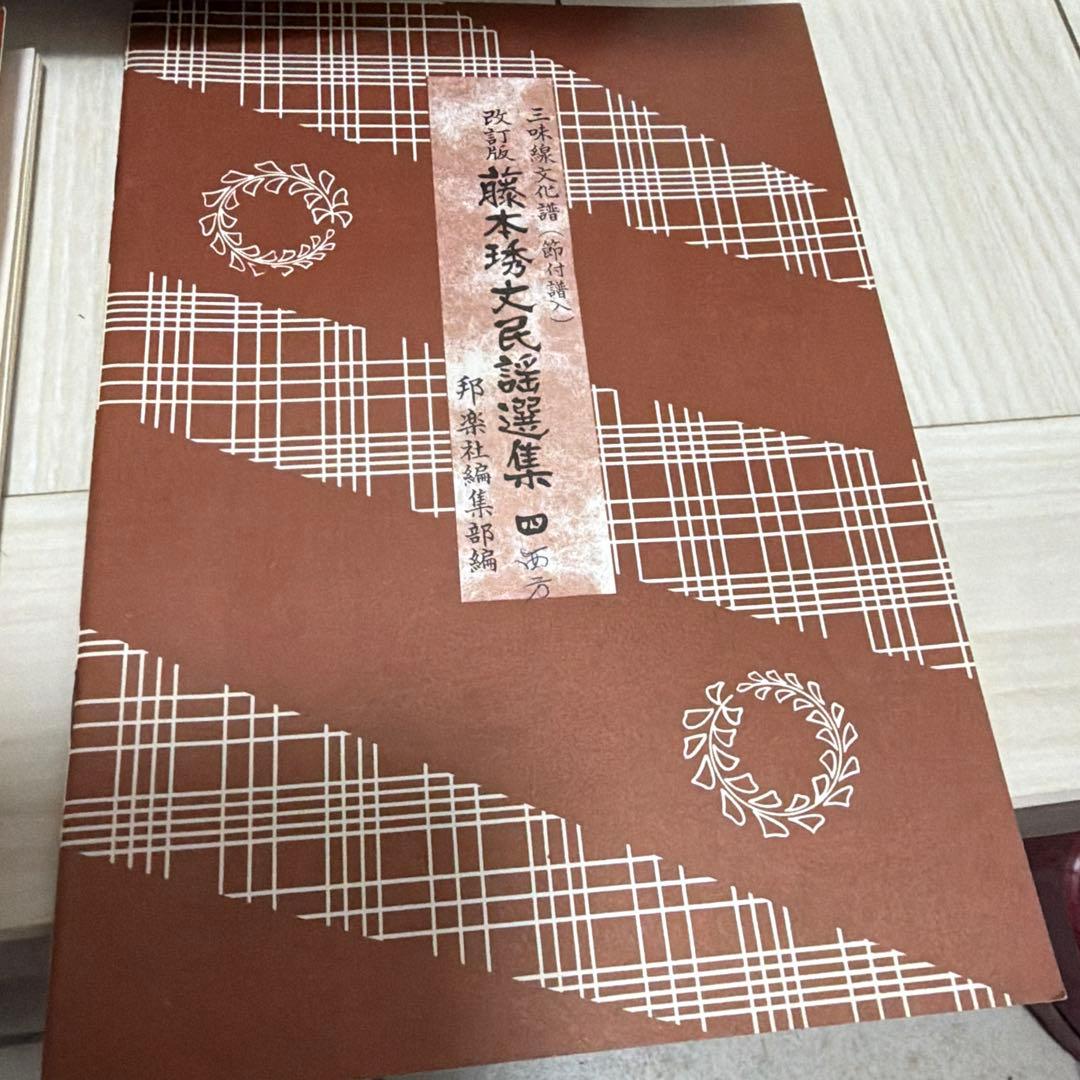 三味線本体 ケース・教本付き