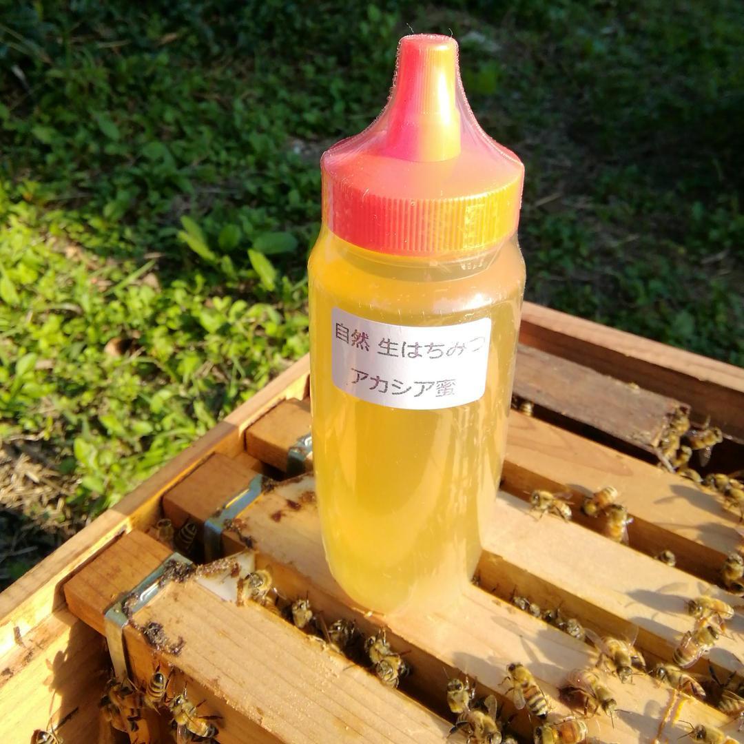 ✨アカシア蜂蜜５本&百花蜜５本　生はちみつ　非加熱ハチミツ