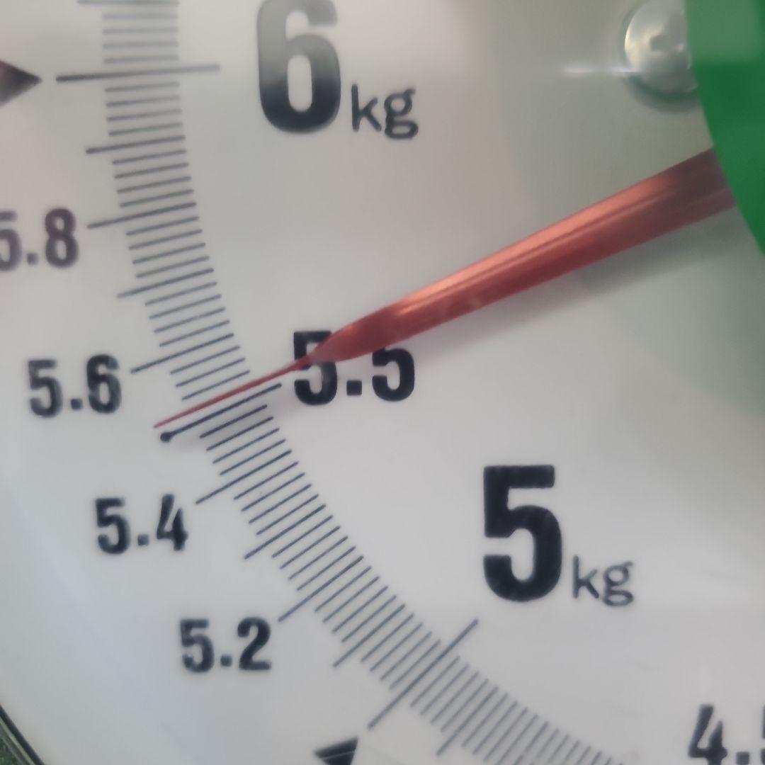 1⃣2️⃣ 山梨県産 マイハート １０房入り 箱込み5.5キロ