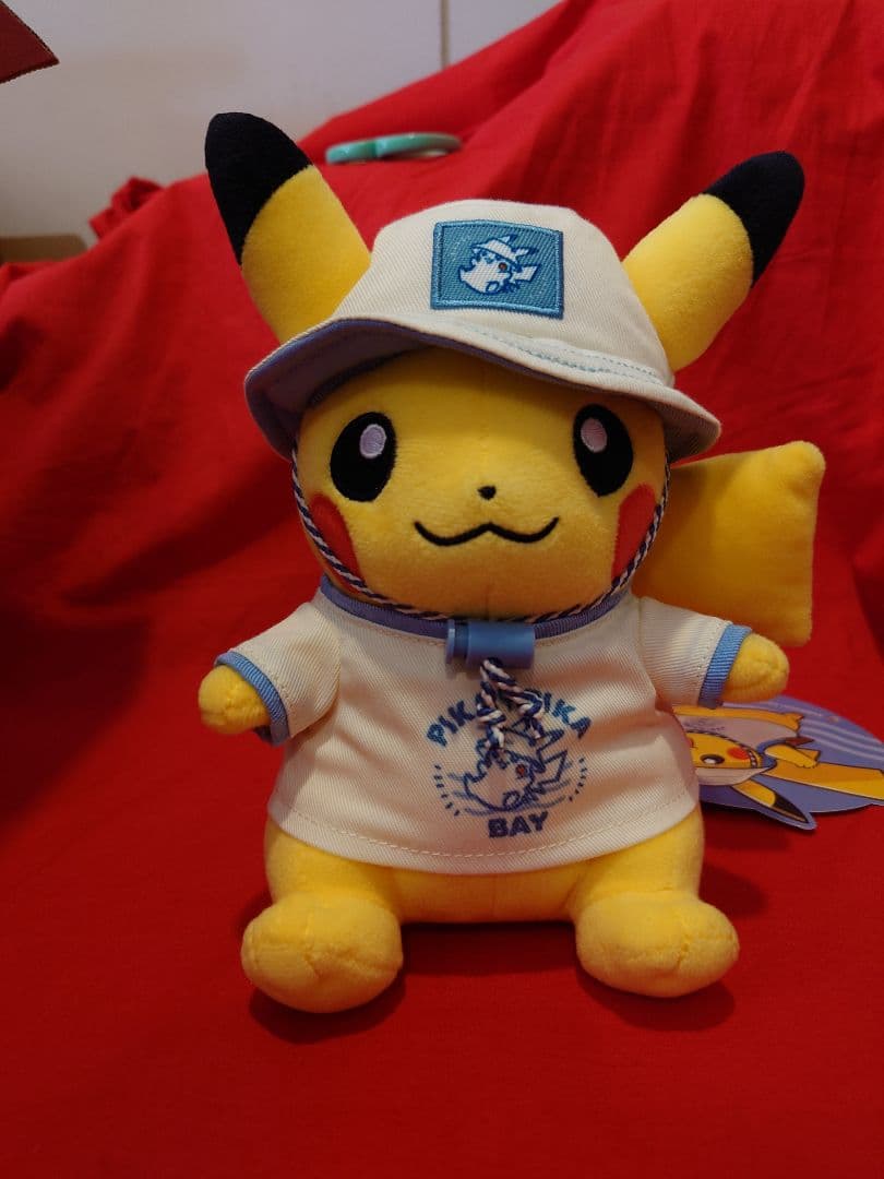 ポケモン トウキョーベイ デンリュウ ピカチュウ