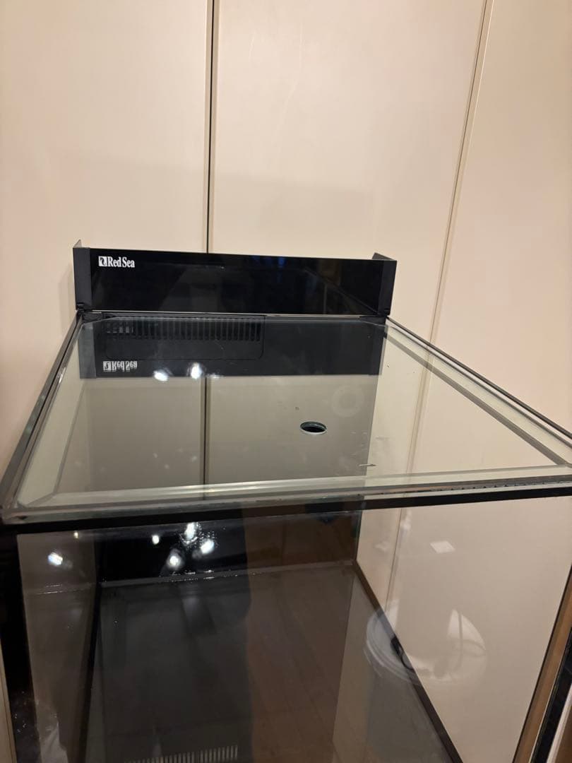 レッドシー　MAXシリーズ　ペニシュラン　大阪から