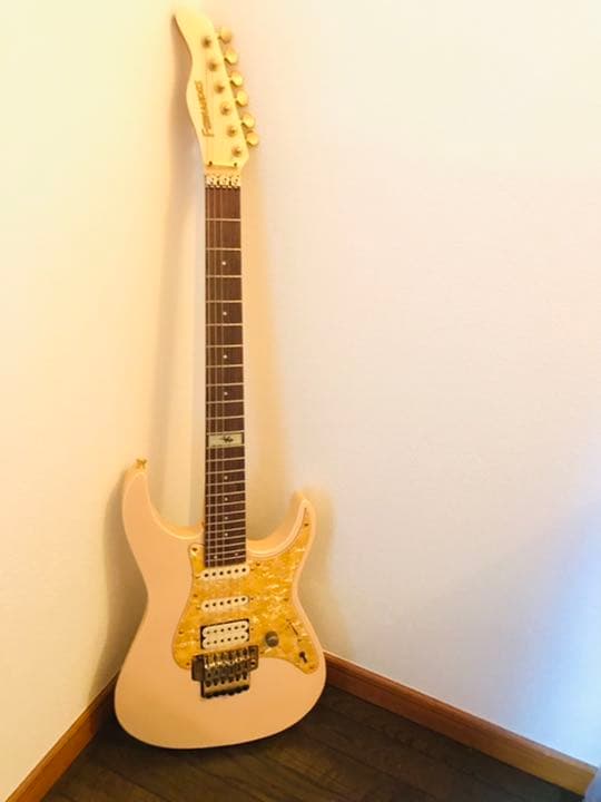 FERNANDES(フェルナンデス)のエレキギター(フロイドローズ)