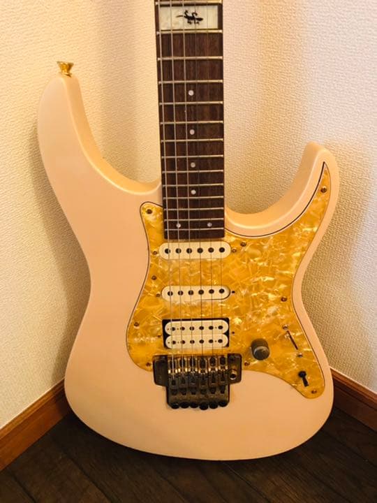 FERNANDES(フェルナンデス)のエレキギター(フロイドローズ)