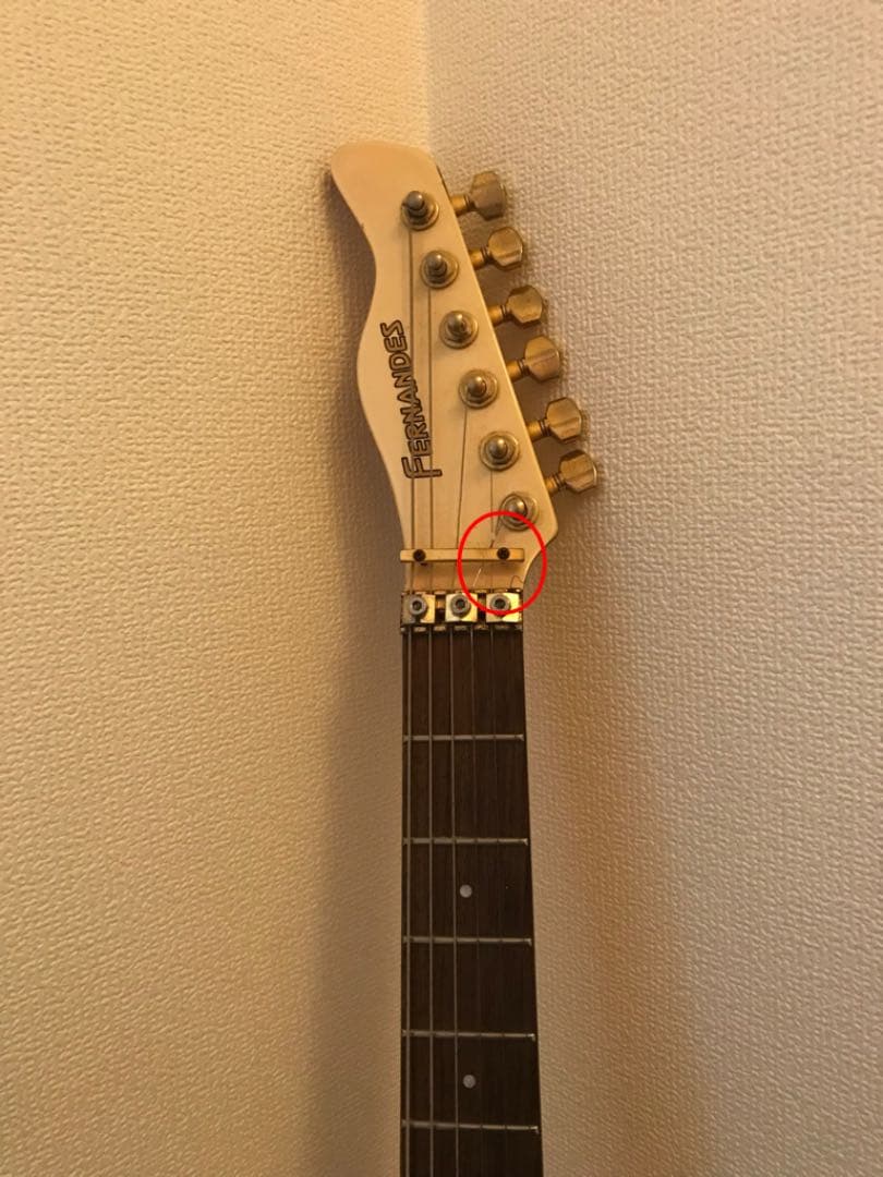 FERNANDES(フェルナンデス)のエレキギター(フロイドローズ)