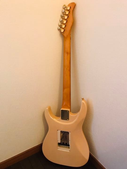 FERNANDES(フェルナンデス)のエレキギター(フロイドローズ)