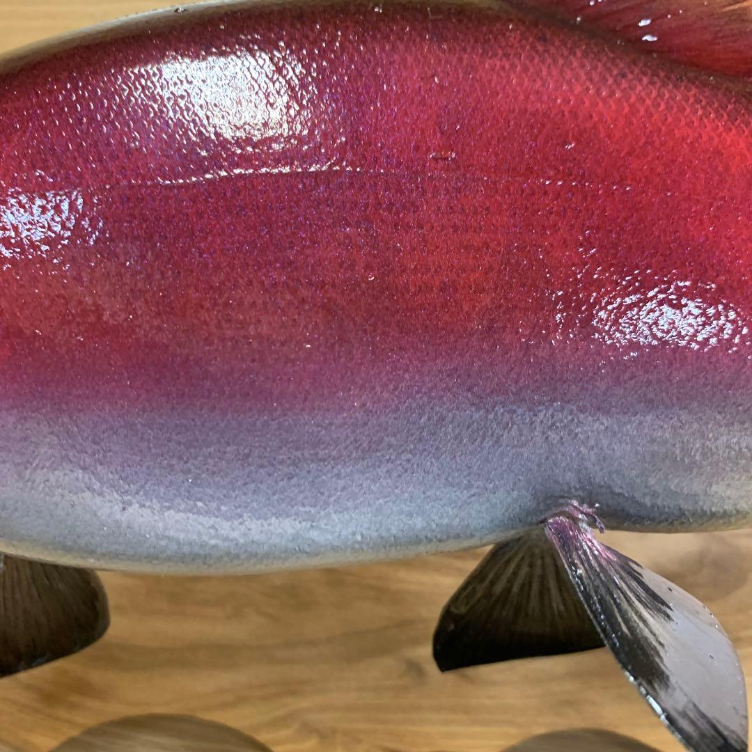 魚類剥製工房エフクラフト　晩秋の幅広セッパリヒメマス雄37センチ位 最終形態