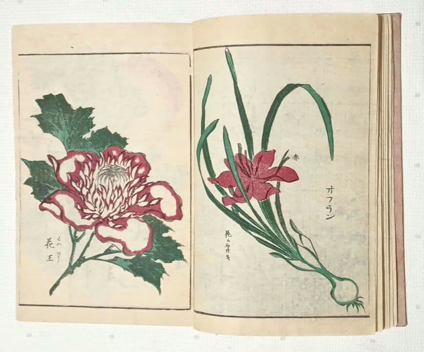 後摺多色刷り版画本傳神開手北斎画宛初編、葛飾北斎画、明治8年片野東四郎東壁堂出版