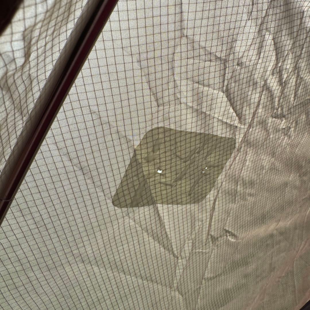 MSR エリクサー2 山岳テント　ヨーロッパ限定 グリーン