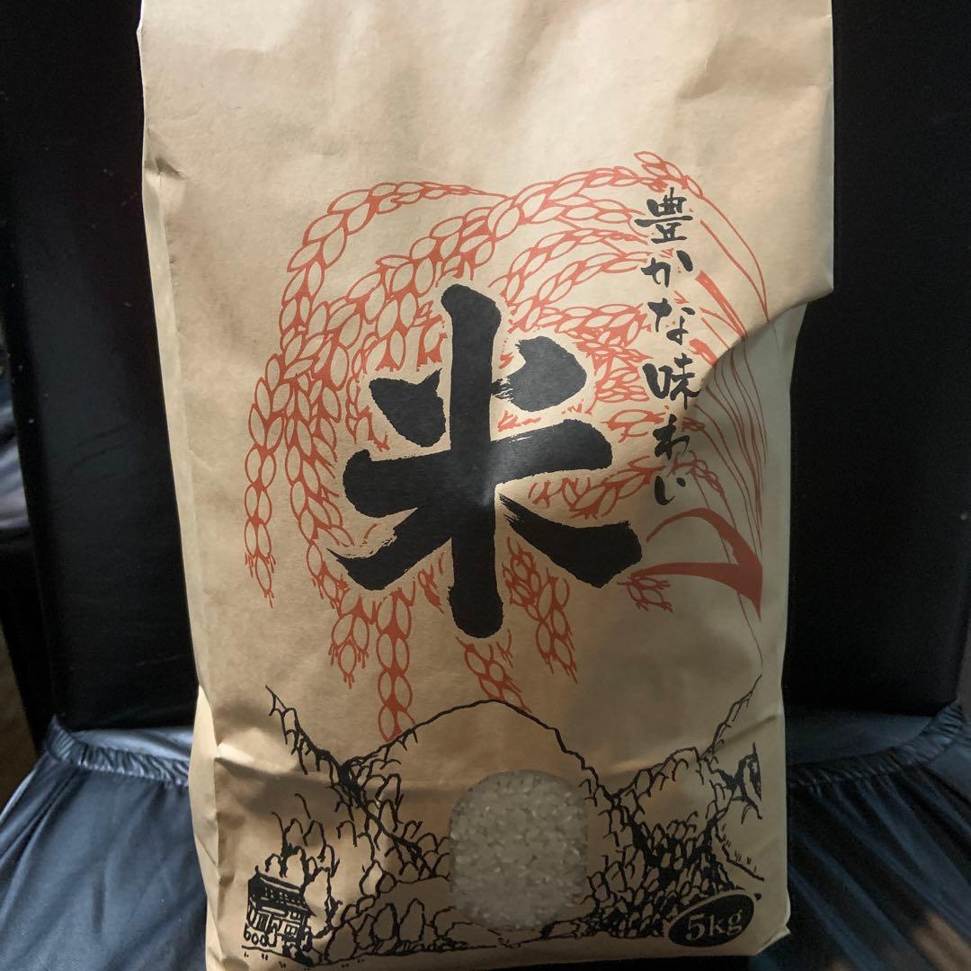 令和6年度産　きぬ娘10kg