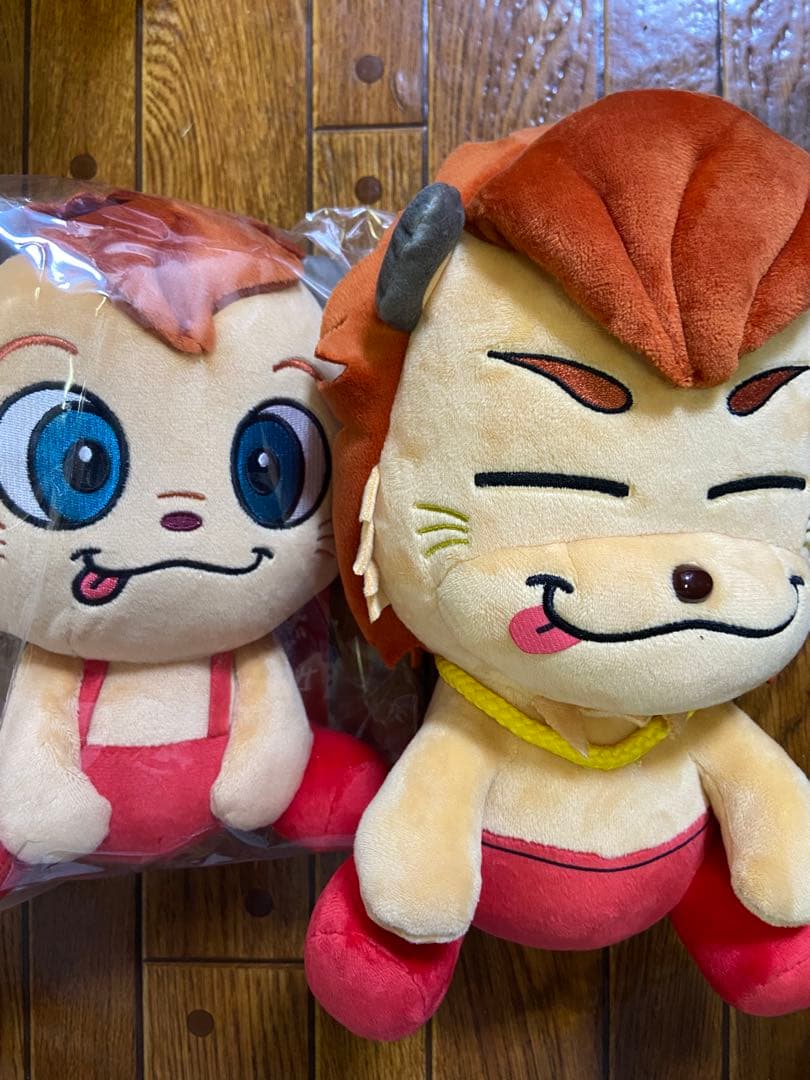 今市隆二　ライジー　コライジー　セット