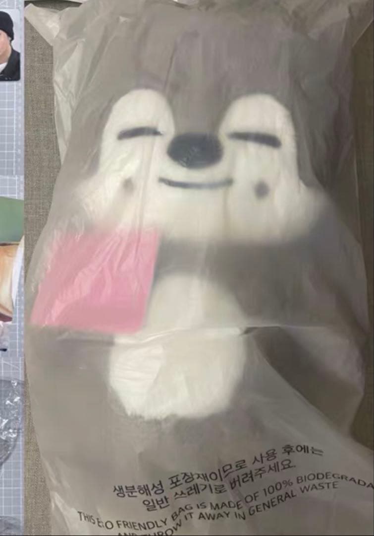 straykids スキズ テディベア SKZOO ウルフチャン　teddy