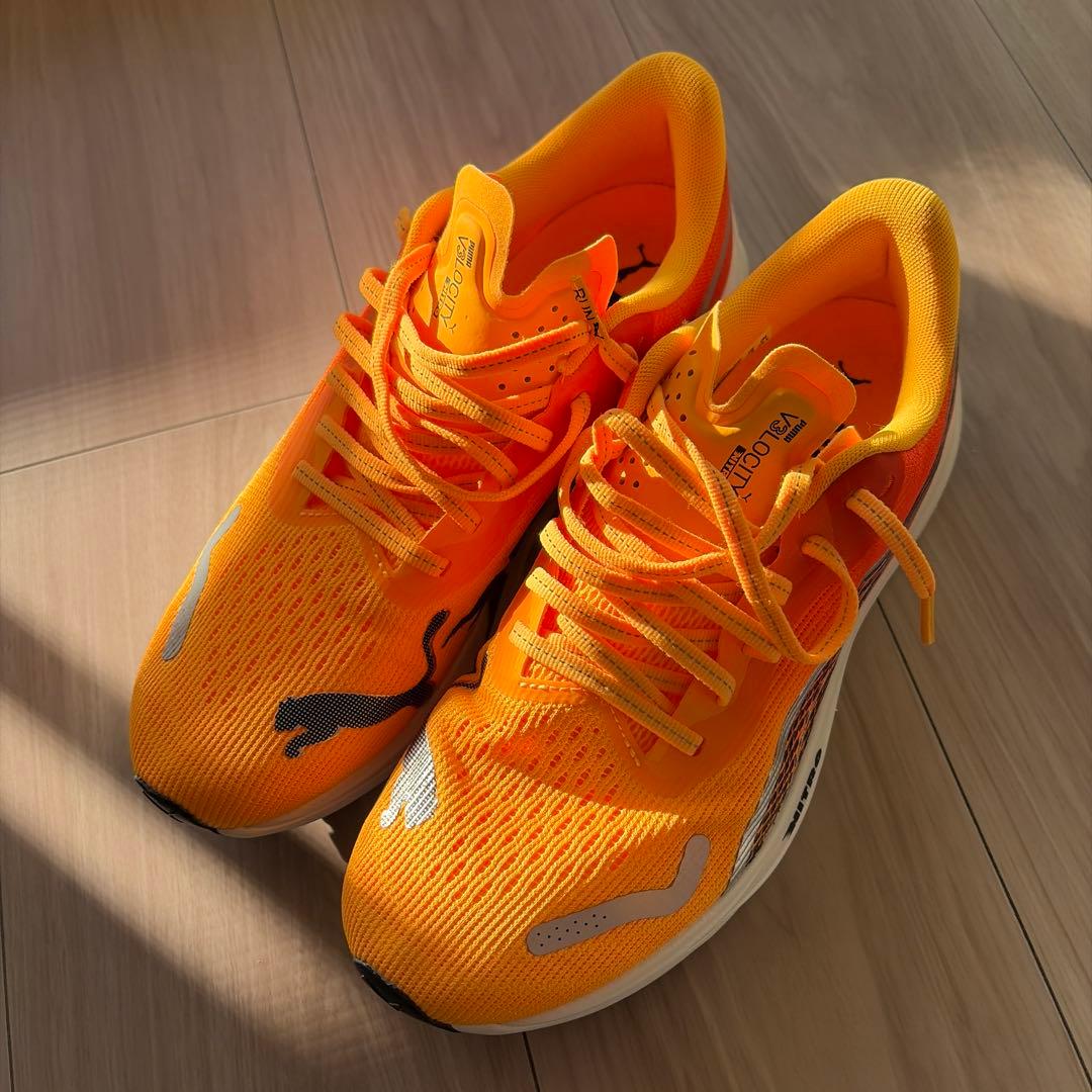 即日発送可　PUMA V3LOCITY NITRO JP25.5