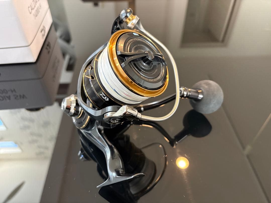 カルディアSW 14000H（10000H）スピニングリール