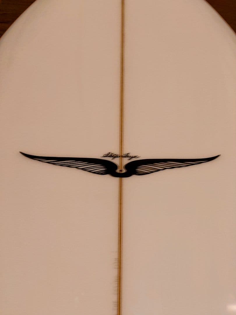 スキップ・フライ フィッシュ 5'7 Skip Frye FISH 5'7