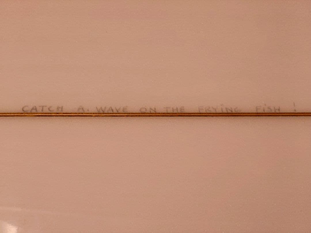 スキップ・フライ フィッシュ 5'7 Skip Frye FISH 5'7