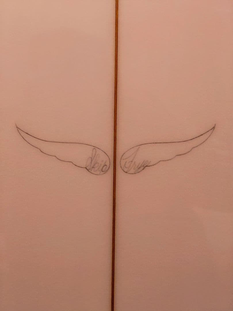 スキップ・フライ フィッシュ 5'7 Skip Frye FISH 5'7