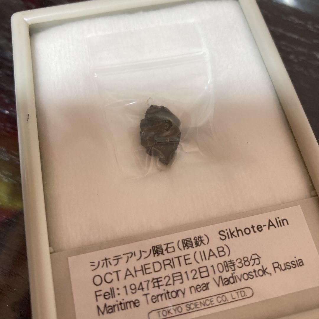 シホテアリン隕石（隕鉄）