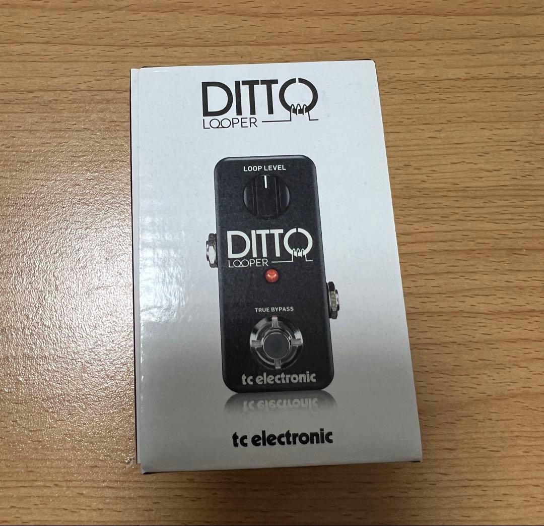 【新品・未開封】tc electronic DITTO LOOPER
